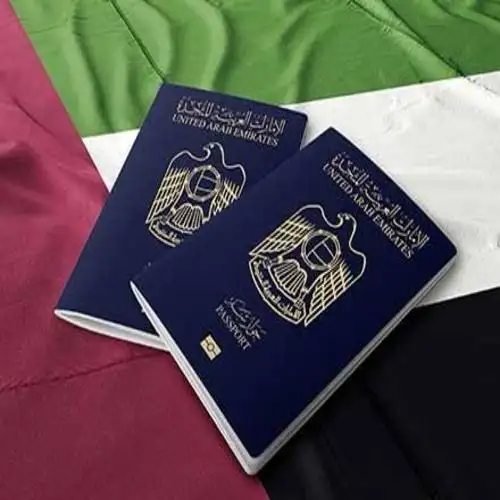 UAE Visa Assistance